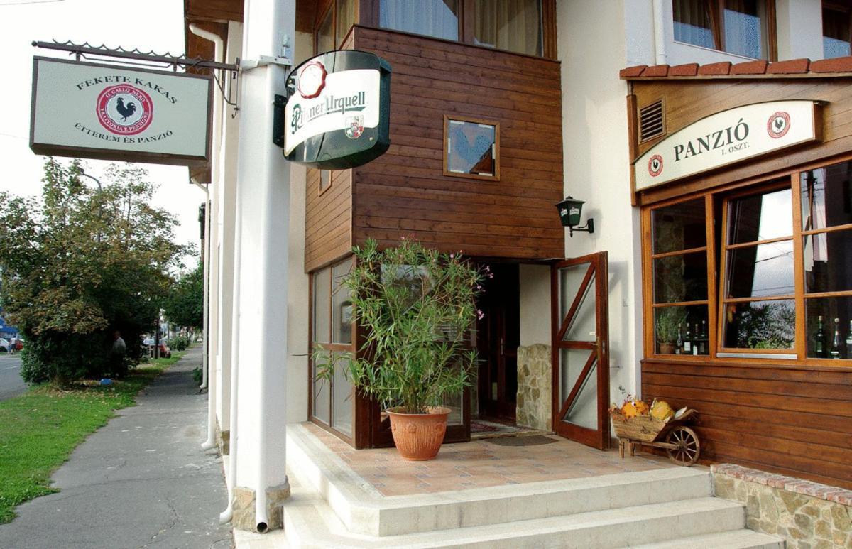 Il Gallo Nero - Fekete Kakas Etterem Es Panzio Σζομπαθέλι Εξωτερικό φωτογραφία